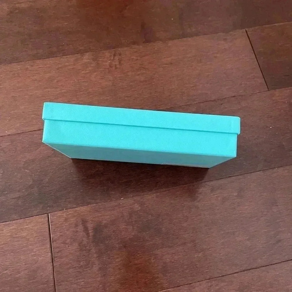 Tiffany & Co. Empty Box and Dust Cover - Picture 5 of 10